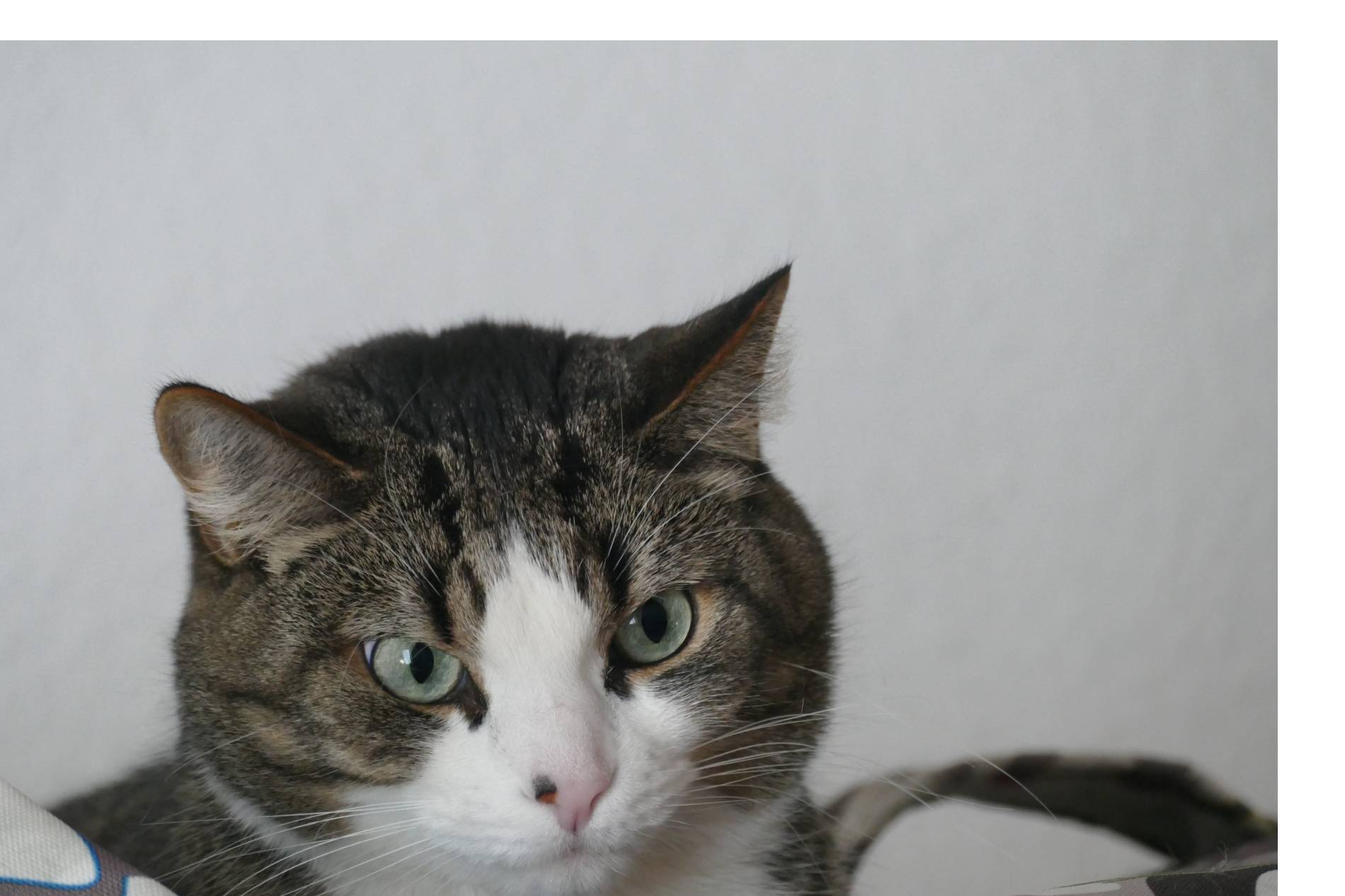 You are currently viewing Nährstoffe